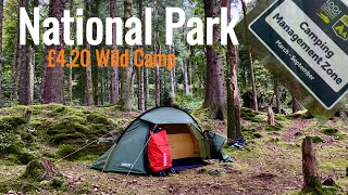 Solo Wild Camp  Forest  National Park  Scotland camping scotland [upl. by Ahsienar]