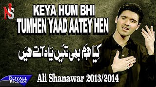 Ali Shanawar  Kya Hum Bhi Tumhein Yad Atey Hain  20132014  کیا ھم بھی تمھیں یاد اتے ھیں [upl. by Lehcsreh324]