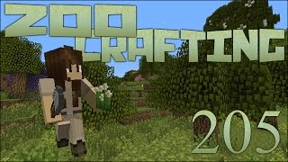 Temperate Forest Parkway 🐘 Zoo Crafting Episode 205 Zoocast [upl. by Steele]