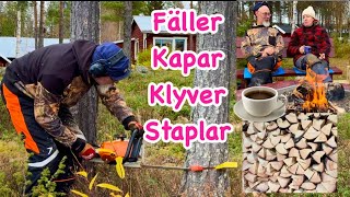 STIHL motorsåg  fäller kapar [upl. by Senior311]