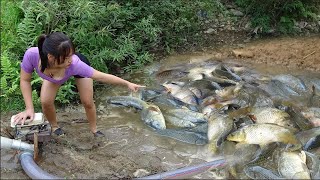 Top Fishing Videos Best Fishing Techniques How To Fishing in The Wild Harvesting Many Big Fish [upl. by Lakim]