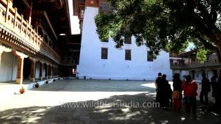 Inner courtyard of Punakha Dzong in Bhutan [upl. by Nnek]