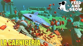 Feed and Grow Fish  LA CARNICERÍA DEL FANTASMA  GAMEPLAY ESPAÑOL 45 [upl. by Carl]