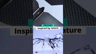 Flying RC ornithopter drones MetaFly and MetaBird © Bionic Bird  Discover the biomimetic flight [upl. by Cloots]