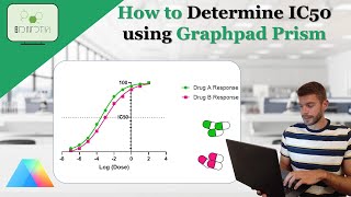 How to easily calculate the IC50 of a drug using Graphpad Prism IC50 drug pharmacology graphpad [upl. by Sharp]