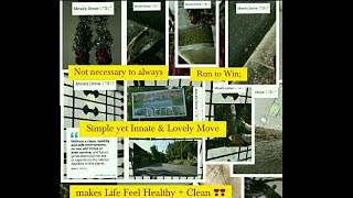 Moves Innate  Humane  Clean Move 💫3💫 Life Nature Simple Attitude Mindset LoveWisdom Video [upl. by Rebor]