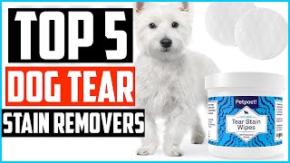 Top 5 Best Dog Tear Stain Removers Review in 2024 [upl. by Polly]