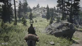 Red Dead Redemption 2 Ambience Hunting from Cattail Pond to Riggs Station [upl. by Binni365]