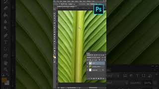 Photoshop Marquee Tool shorts [upl. by Wall]