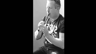 Mo Mhuirnín Bán Haunting Tin Whistle Slow Air [upl. by Jerrine]