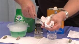 Swabits® Boretips® How to Clean Your Boretips® 30 Second Commercial Spot [upl. by Carey]