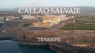 Callao Salvaje  The Rugged Southwest Coast of Tenerife  Drone Video  4K [upl. by Yrred]