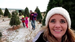 Our Fun Family Christmas tree hunt [upl. by Ackerman]