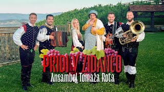 Ansambel Tomaža Rota  Pridi v zidanco [upl. by Aitnuahs]