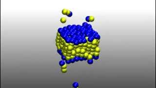 Self Assembly of Lipid Bilayer Membrane [upl. by Hnad]