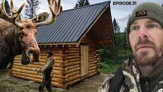 Log Cabin Build on OffGrid Homestead EP31 MOOSE [upl. by Eihs]