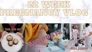 22 Week Pregnant Vlog  Doula Thoughts  cook with me  Sydel CurryLee [upl. by Merilee327]