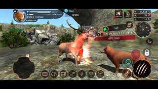 ATTACK ON A BEAR 🐻🐻 CAN I KILL THIS BEARNEW GAME PLAY 2 [upl. by Oeak]