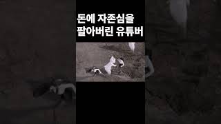 돈에 자존심을 팔아버린 유튜버 [upl. by Rasec]