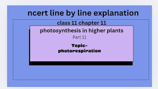 photo respiration  photosynthesis in higher plants NCERT line by line explanation [upl. by Nagear415]