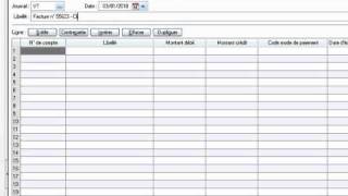 Vidéo n° 3 La saisie des écritures comptables [upl. by Sugden]