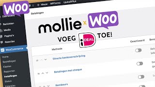 Les 5 Voeg Betaalopties Toe  Mollie Toevoegen Aan Je Webshop  WooCommerce Tutorial [upl. by Sema572]