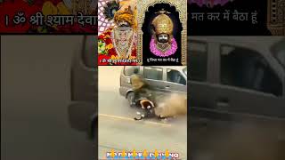 Jai shree shyam  khatu shyam status shyam baba whatsapp status khatu shyam bhajan shyam shotrs [upl. by Circosta]