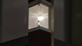 Mini socket ceiling fan in a House [upl. by Anikal]