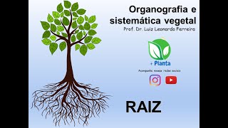 Organografia Aula sobre raiz [upl. by Homerus]