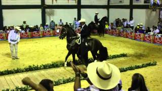 campirano de manzanares campeonato caballos trochadores galoperos [upl. by Rocca]