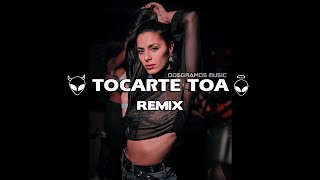 TOCARTE TOA REMIX BIG YAMO CALLE 13 X DSM [upl. by Enimasaj]