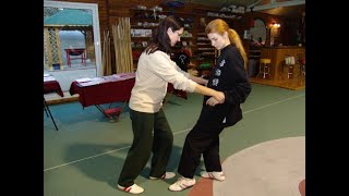 Lesson 5 GM Walter Toch selfdefence women 2016 Belgium [upl. by Varney]