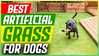 The 5 Best Artificial Grass for Dogs 2024 Guide [upl. by Hukill202]