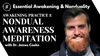 Awakening Practice 1  Nondual Awareness Meditation  Inner Space Institute Nonduality Essentials [upl. by Llorrad]