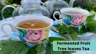 How to make Fermented Tea from Fruit Tree leaves [upl. by Ulrick160]