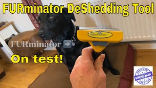 FURminator Dog Hair Deshedding Removal Tool  Labrador Dog vs Deshedding Fur Tool Review  ASMR [upl. by Hershell]