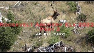 Oregon Archery Elk Hunting 2022  4K KILL SHOT PART 2 [upl. by Pebrook]