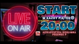 Akwarystyczny live Q amp A [upl. by Sunderland]