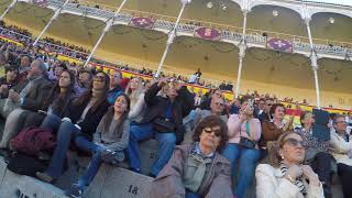 Spain 2016  Plaza de Toros Madrid Bullfighting 2 of 4 Video taken by GoPro Hero 4 [upl. by Lottie]