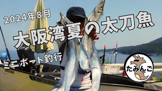 大阪湾 夏の太刀魚本格的に開幕です。 [upl. by Nitsid]