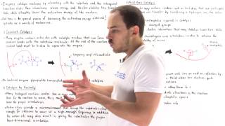 Mechanisms of Enzyme Catalysis [upl. by Atekan384]