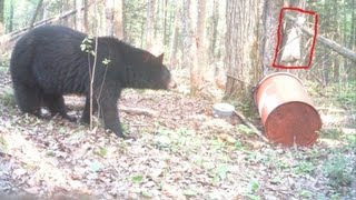 Chasse à lours  La préparation [upl. by Chaker739]