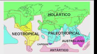 Regiones biogeográficas de México Región Neártica [upl. by Kroy]