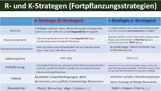 R und KStrategen Fortpflanzungsstrategien  Biologie Ökologie Oberstufe [upl. by Cimbura]