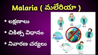 Malaria Symptoms and treatment in Telugu  మలేరియా లక్షణాలునివారణ చర్యలు [upl. by Nikolia]