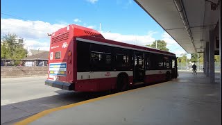 TTC 113 Danforth Bus Ride 8417 from Kennedy Stn to Main Street Stn October 2nd 2024 [upl. by Valma]