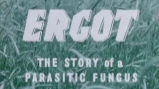 Ergot The Story of a Parasitic Fungus 1958 [upl. by Imogene715]