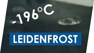 Leidenfrost Effekt mit flüssigem Stickstoff [upl. by Stein]