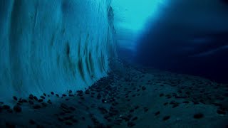 Rarelyheard Weddell Seal Sounds in Antarctica [upl. by Grace]