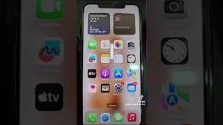 Apple  IPHONE 11 pro max [upl. by Sethrida293]